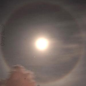 You're A Pro (Radio Edit)