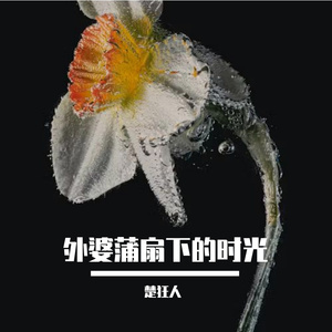 外婆蒲扇下的时光