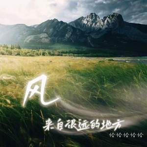 风来自很远的地方