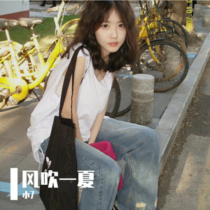 风吹一夏（小7 remix）