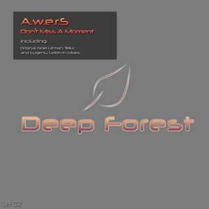 Don't Miss A Moment (Eugeniy Golotvin Remix)