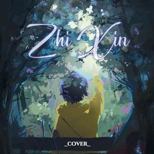 盗墓笔记·十年人间 (治愈男声版)