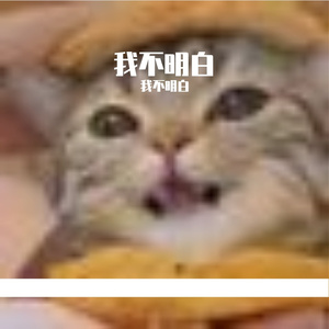 枕边的舒缓琴音