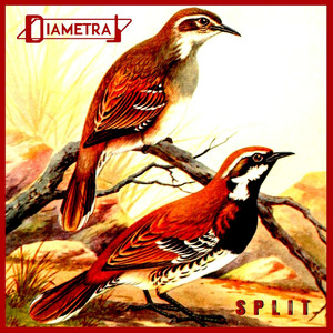 It Was Never Meant to Last (Album Version)