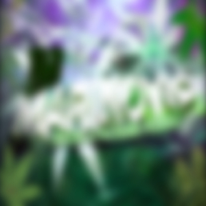 MTG REMEXE ESQUELETO