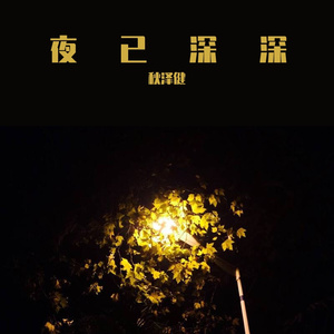 夜已深深