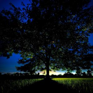 ¡NT€f€R€Nc€