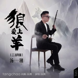 狼爱上羊 （二胡版）