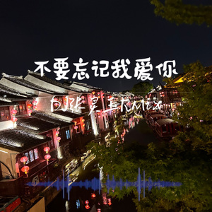 不要忘记我爱你 DJ张灵玉RMix