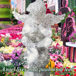 天使住在一片梧桐树叶上