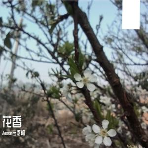 周传雄-花香（Jason与何畅 remix）