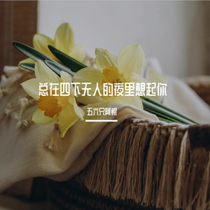 总在四下无人的夜里想你