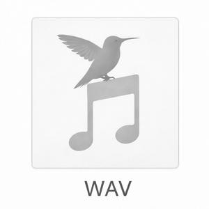 WAV