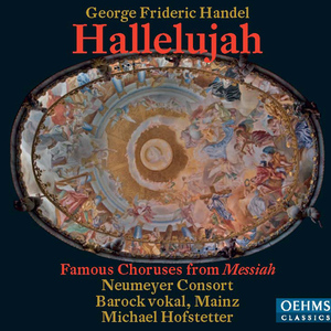 Messiah, HWV 56:Part II: Surely, He hath borne our griefs and carried our sorrows