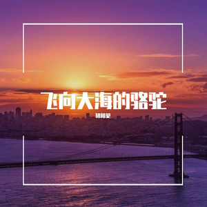 飞向大海的骆驼