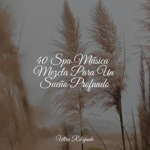 Árboles Que Se Balancean