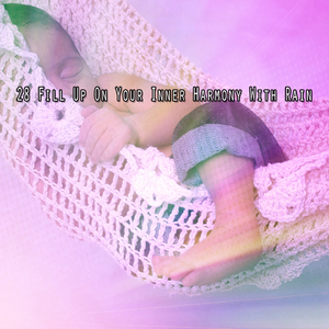 清新寧靜的風暴