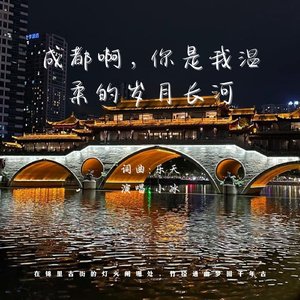 成都啊，你是我温柔的岁月长河