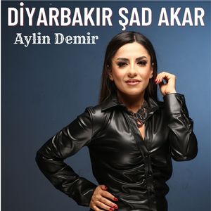 Diyarbakır Şad Akar