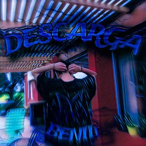 DESCARGA