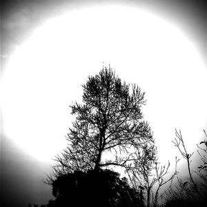 生根（Prod EVOMUSIC)