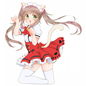 everydayにゃんぽんたん