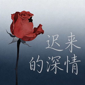 迟来的深情