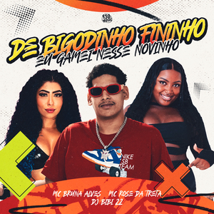 De Bigodinho Fininho, Eu Gamei Nesse Novinho