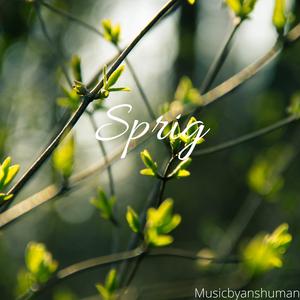 Sprig