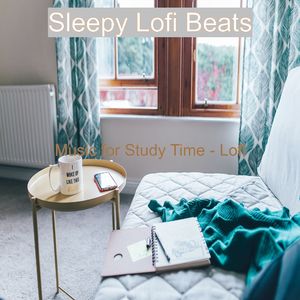 Elegant Chillhop Beats - Background for Sleepless Nights