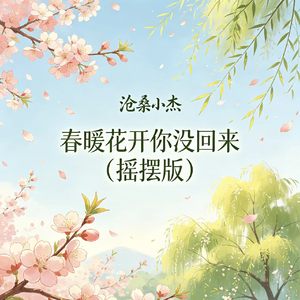 春暖花开你没回来（摇摆版）
