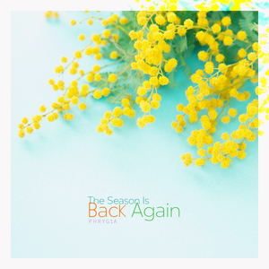 너의 투명한 입술