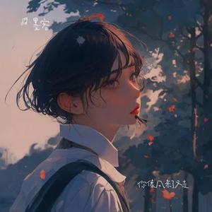 你像风来了又走