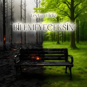 Bilemeyeceksin - You won´t know (US Version)