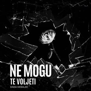 Ne mogu te voljeti
