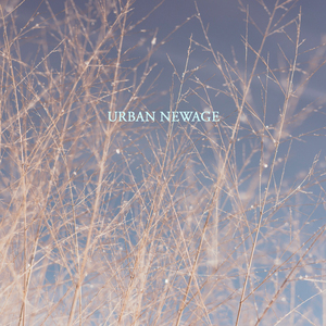 메리 크리스마스