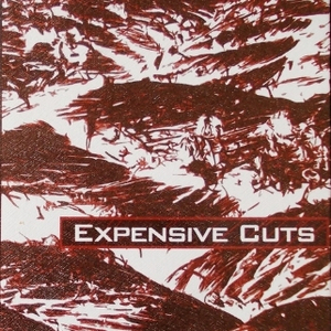 ZDS (Zyklon Des Spiegels)