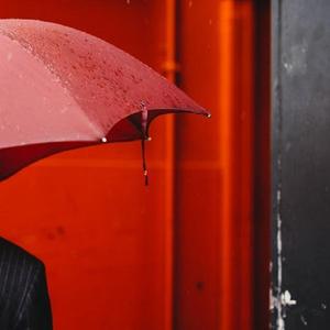 玫瑰 live（翻自 孙心）