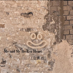 Me and My Broken Heart (变声版)