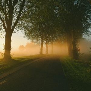 于是 (能不能留下来再陪我数次星星)