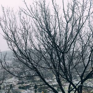 自我的突然(Live)