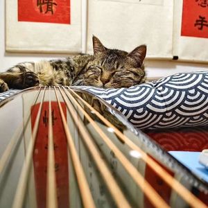 古琴吟（琴学入门）