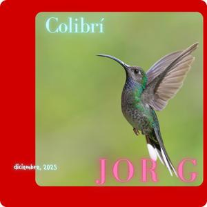 Colibrí