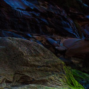 交换余生是我非我