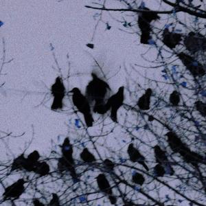 Worry About Yourself