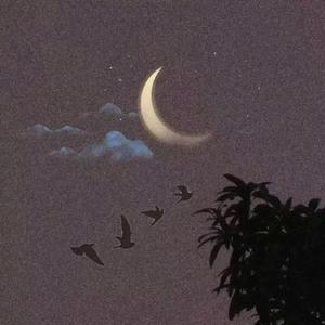 这一生关于你的风景