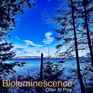 Bioluminescence