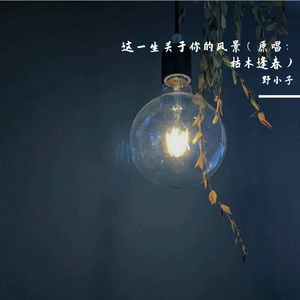 这一生关于你的风景