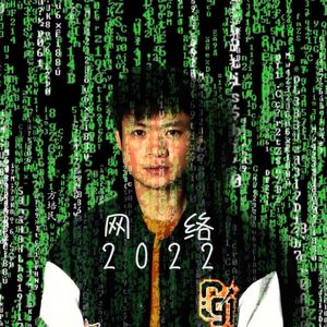 网络2022 伴奏