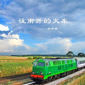 往南开的火车